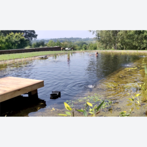 Naturpoolspaket 12*9,5 m, bad- och simdel 4*6,5 m, 1,8 m djup